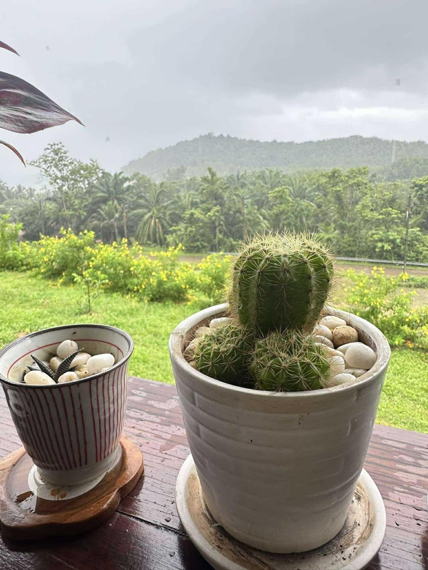 บ้านสวนปิยนันท์ Ko Yao Noi Exterior foto